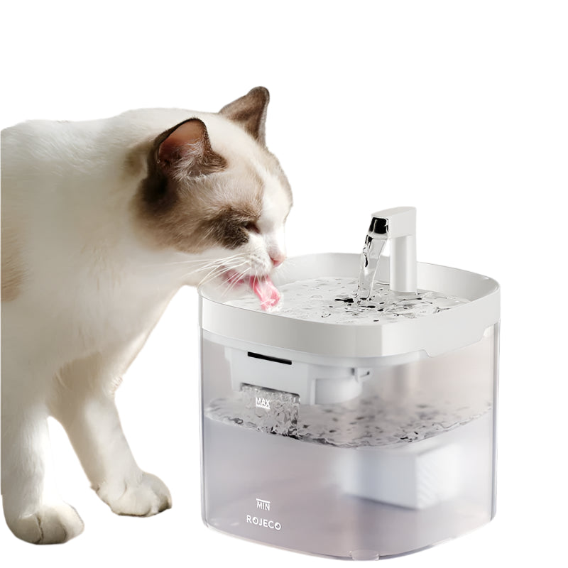 Automatic Cat and Dog Water Fountain