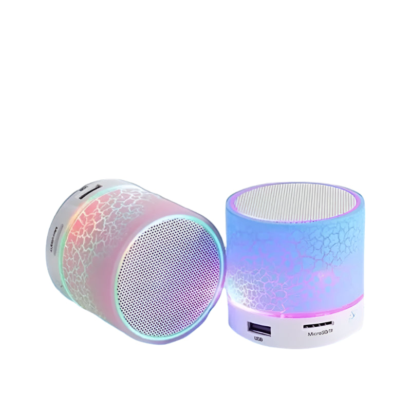 MiniBlast Portable Speaker