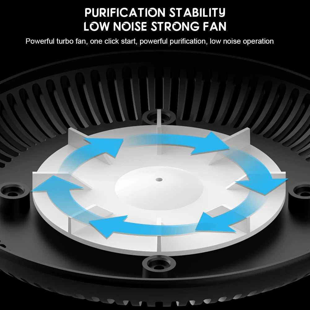 Ashtray with Smoke Absorber