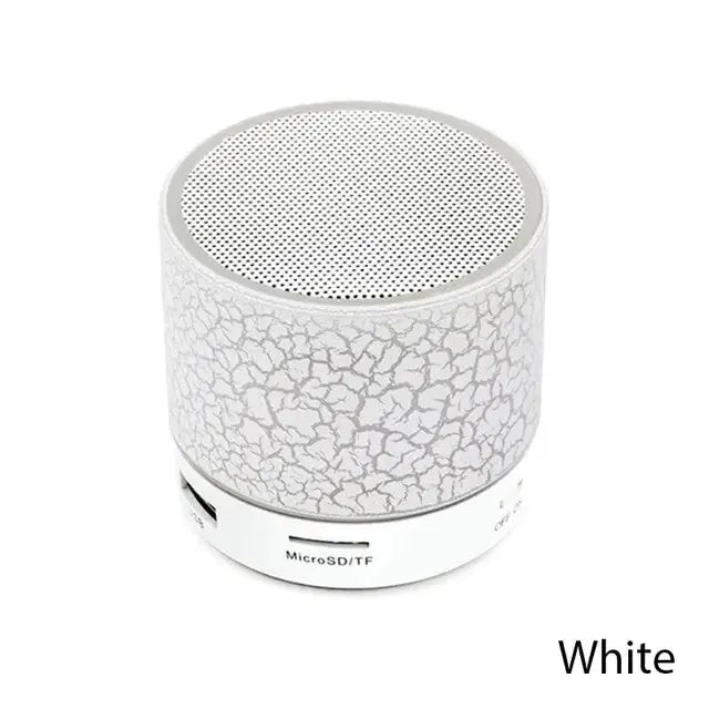 MiniBlast Portable Speaker